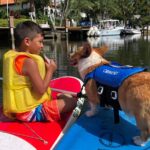 In SUP con il cane o con i bambini: Regole, sicurezza e quale tavola scegliere